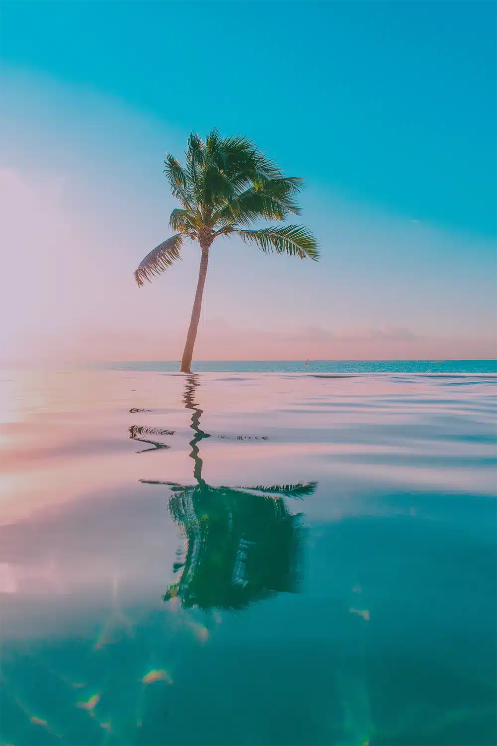 tropical-background